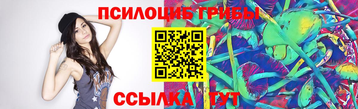 Псилоцибиновые грибы мицелий  Вход с VPN  Ноябрьск 