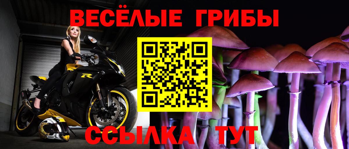 Псилоцибиновые грибы Psilocybe Ноябрьск